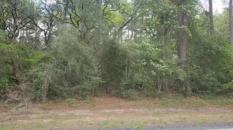 Lot 2 N Council Drive Hempstead TX 77445