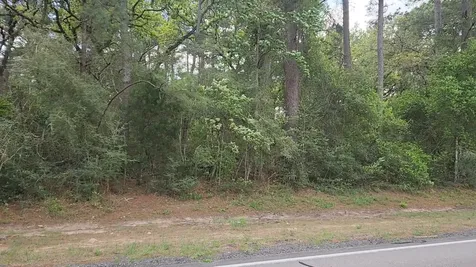 Lot 2 N Council Drive Hempstead TX 77445