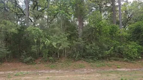 Lot 2 N Council Drive Hempstead TX 77445