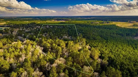 001 Holly Grove Road Livingston TX 77351