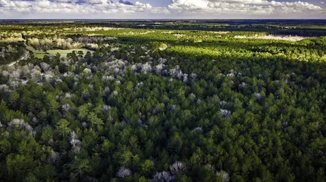 001 Holly Grove Road Livingston TX 77351