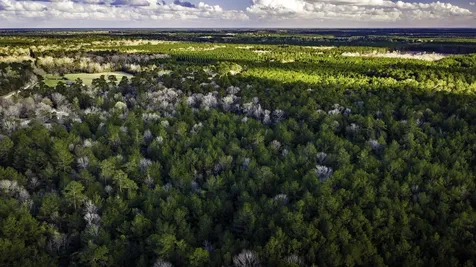001 Holly Grove Road Livingston TX 77351