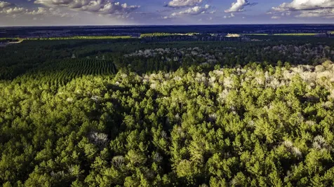 001 Holly Grove Road Livingston TX 77351