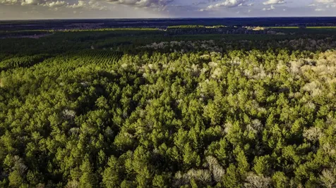 001 Holly Grove Road Livingston TX 77351