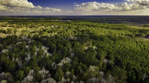 001 Holly Grove Road Livingston TX 77351