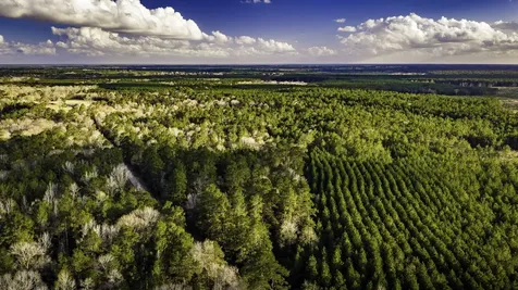 001 Holly Grove Road Livingston TX 77351
