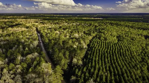 001 Holly Grove Road Livingston TX 77351