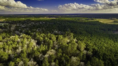 001 Holly Grove Road Livingston TX 77351