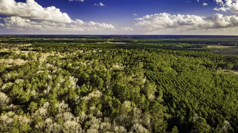 001 Holly Grove Road Livingston TX 77351