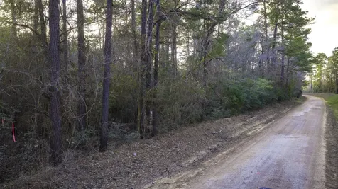 001 Holly Grove Road Livingston TX 77351