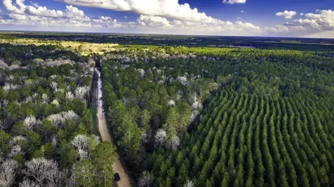 001 Holly Grove Road Livingston TX 77351