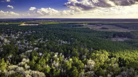 001 Holly Grove Road Livingston TX 77351