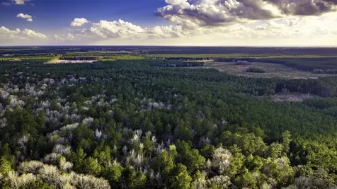 001 Holly Grove Road Livingston TX 77351