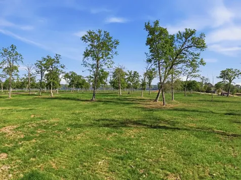 Lot 6 Island View Livingston TX 77351