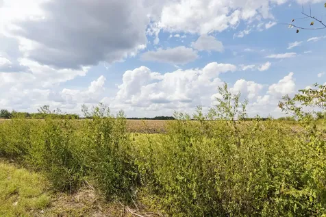 0 Fm 1236 Road Needville TX 77461