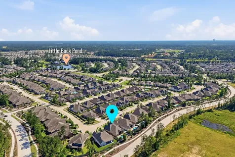 15265 Hemingway Heights Drive Conroe TX 77302