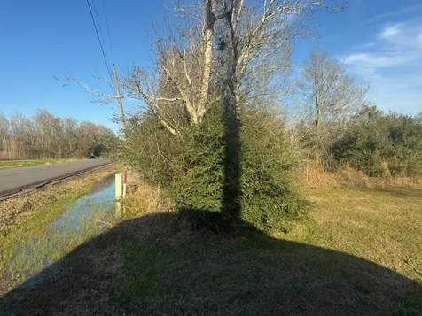 13622 Charlie Roberts Road Kendleton TX 77451