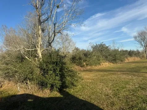 13622 Charlie Roberts Road Kendleton TX 77451