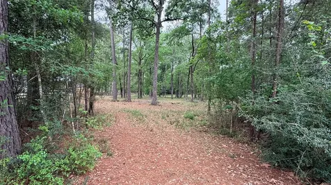 225 Pelican Street Magnolia TX 77355
