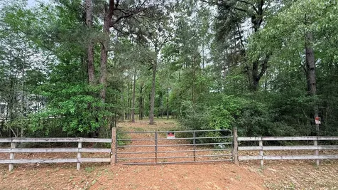 225 Pelican Street Magnolia TX 77355