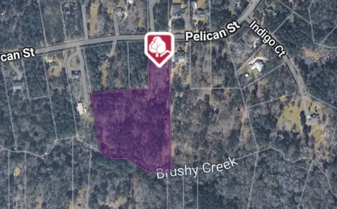225 Pelican Street Magnolia TX 77355