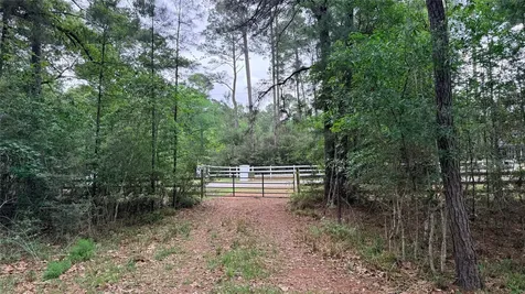 225 Pelican Street Magnolia TX 77355