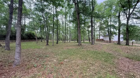 225 Pelican Street Magnolia TX 77355