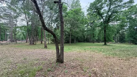 225 Pelican Street Magnolia TX 77355