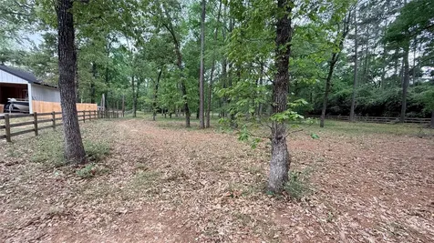 225 Pelican Street Magnolia TX 77355
