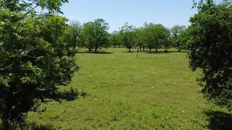 0 Cr 153 Boling TX 77420