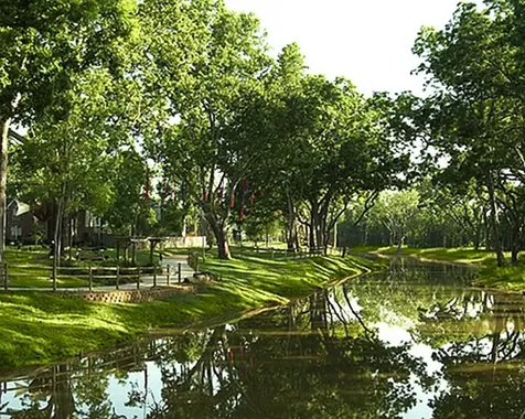 2819 Leafy Path Drive Missouri City TX 77459
