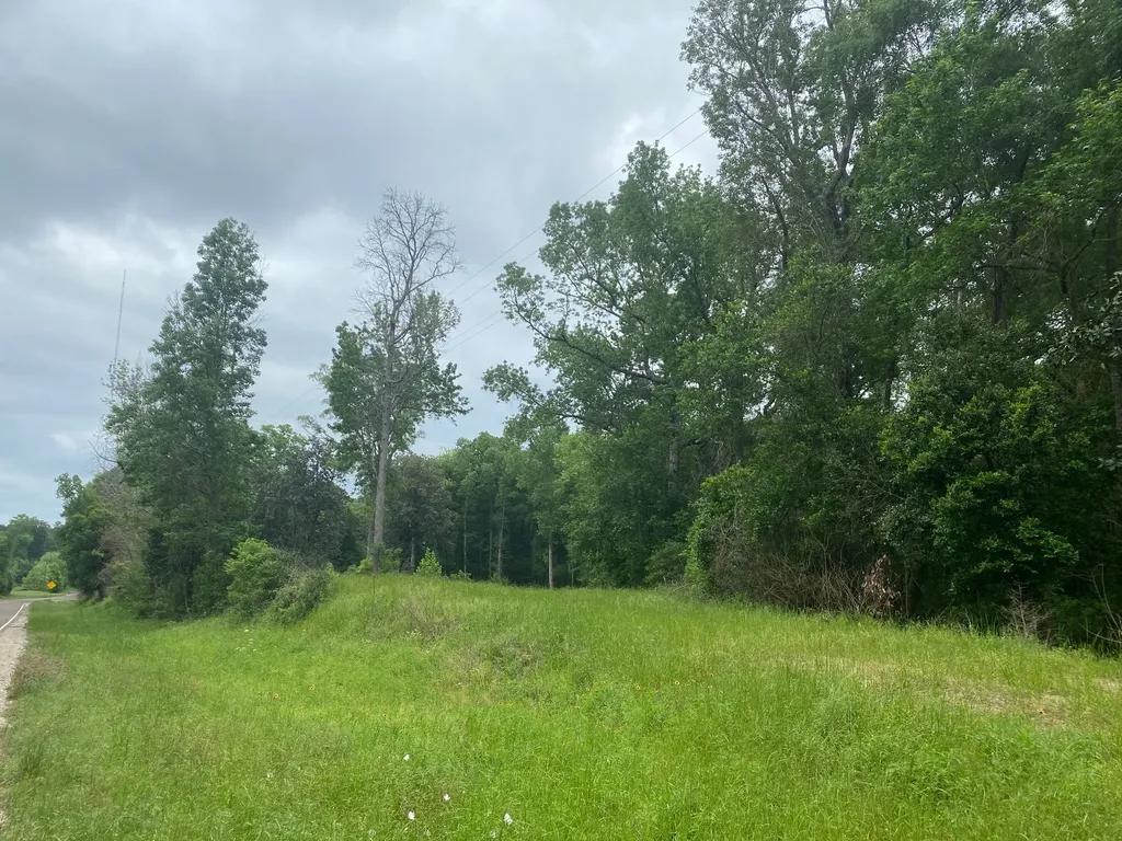 Tbd 00 Fm 222 Loop S Coldspring TX 77331