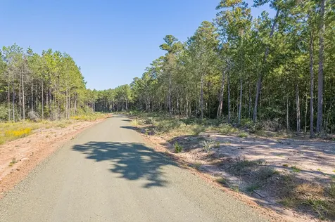 Id 25417 Lot 54 Fm 705 Broaddus TX 75929