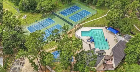 19603 Dogwood Walk Court Spring TX 77388