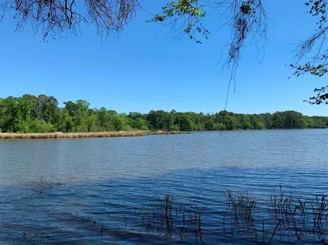 Tbd Fm 3506 Chandler TX 75758