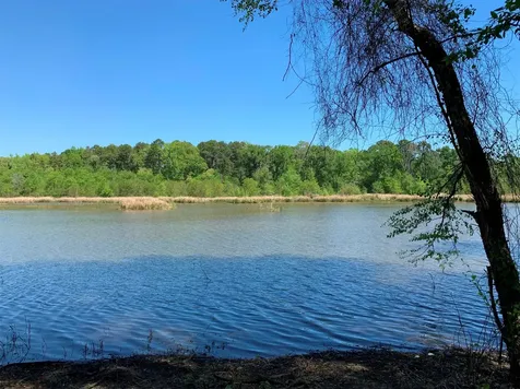 Tbd Fm 3506 Chandler TX 75758