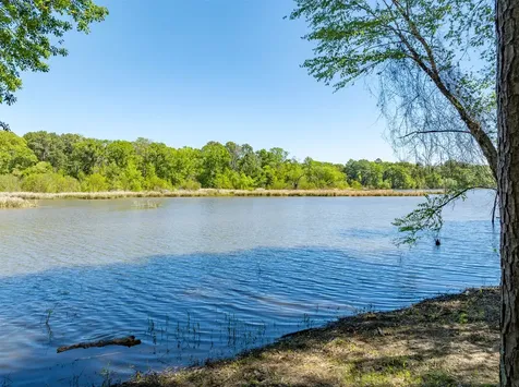 Tbd Fm 3506 Chandler TX 75758