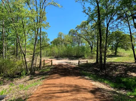 Tbd Fm 3506 Chandler TX 75758