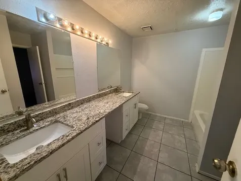 22106 Moss Falls Lane Spring TX 77373
