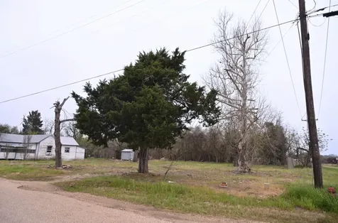 438 Low Wood Road Somerville TX 77879