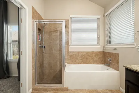 28910 Dryander Forest Court Katy TX 77494