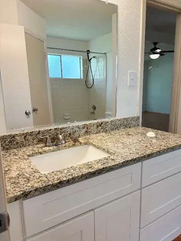 446 Capehill Drive Houston TX 77598