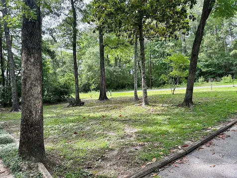 202 Spring Creek Loop Livingston TX 77351