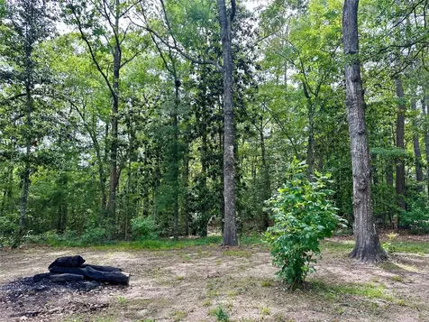 202 Spring Creek Loop Livingston TX 77351