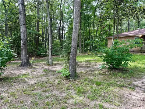 202 Spring Creek Loop Livingston TX 77351