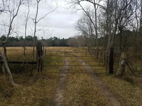 111 Moonshine Hill/will Clayton Parkway Road Houston TX 77338