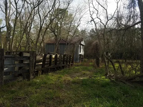 111 Moonshine Hill/will Clayton Parkway Road Houston TX 77338