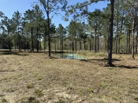 521 Rolling Pines Drive Livingston TX 77351