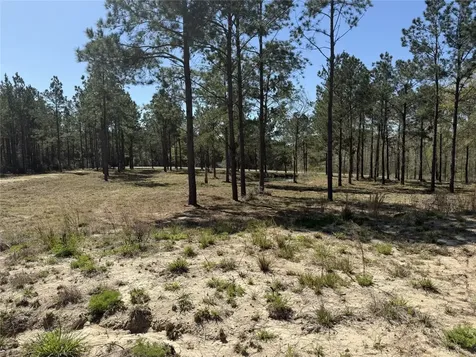 521 Rolling Pines Drive Livingston TX 77351