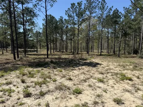 521 Rolling Pines Drive Livingston TX 77351